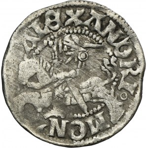 Alexander Jagiellon, 1/2 Groschen Vilnius undated - RARE