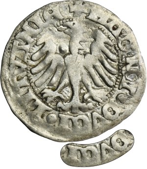 Alexander Jagiellonian, Vilnius demi-penny sans date - TRÈS RARE