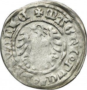 Alexander Jagiellonian, Vilnius demi-penny sans date - TRÈS RARE