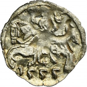 Zygmunt II August, Denar Wilno 1555