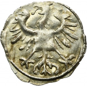 Zygmunt II August, Denar Wilno 1555