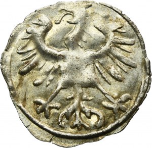 Sigismund II August, Denarius Vilnius 1555