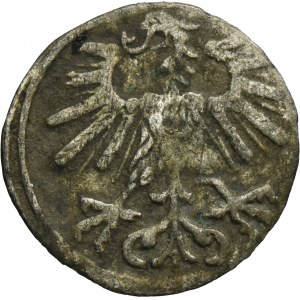 Zygmunt II August, Denar Wilno 1563 - RZADKI
