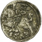 Zygmunt II August, Denar Wilno 1563 - RZADKI