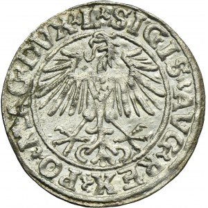 Zygmunt II August, Półgrosz Wilno 1549 - L/LITVA