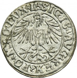 Sigismund II August, 1/2 Groschen Vilnius 1549 - L/LITVA