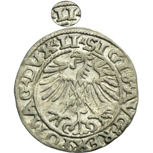 Zygmunt II August, Półgrosz Wilno 1554 - RZADKI, LI/LITVA