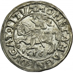 Zygmunt II August, Półgrosz Wilno 1556 - LI/LITVA