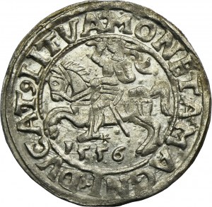 Sigismund II August, 1/2 Groschen Vilnius 1556 - LI/LITVA