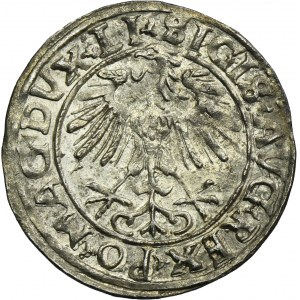Zygmunt II August, Półgrosz Wilno 1556 - LI/LITVA