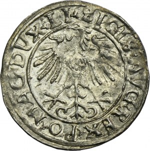 Sigismund II August, 1/2 Groschen Vilnius 1556 - LI/LITVA