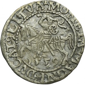 Zygmunt II August, Półgrosz Wilno 1559 - L/LITVA - RZADKI