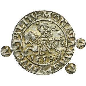 Zygmunt II August, Półgrosz Wilno 1559 - L/LITV - RZADKI