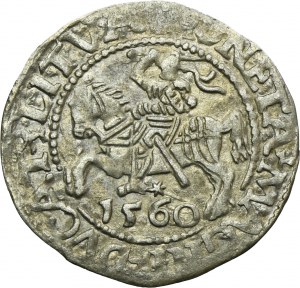 Sigismund II August, 1/2 Groschen Vilnius 1560 - L/LITVA - RARE