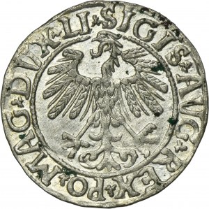 Sigismund II August, 1/2 Groschen Vilnius 1558 - LI/LITV