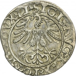 Sigismund II August, 1/2 Groschen Vilnius 1561 - LI/LITVA - UNLISTED
