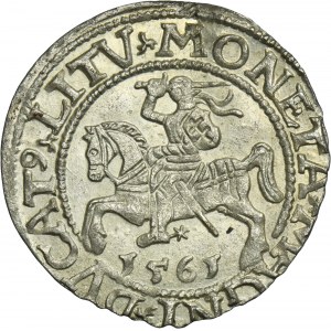 Zygmunt II August, Półgrosz Wilno 1561 - L/LITV