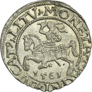 Sigismund II August, 1/2 Groschen Vilnius 1561 - L/LITV