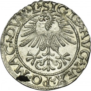 Zygmunt II August, Półgrosz Wilno 1561 - L/LITV