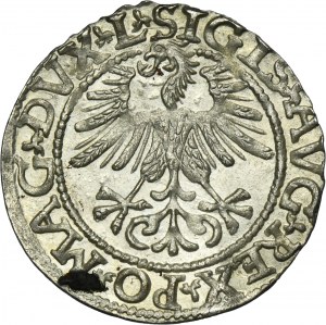 Sigismund II August, 1/2 Groschen Vilnius 1561 - L/LITV