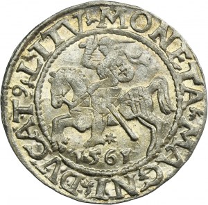 Sigismund II August, 1/2 Groschen Vilnius 1561 - L/LITV