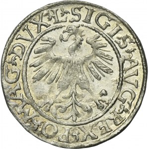 Sigismund II August, 1/2 Groschen Vilnius 1561 - L/LITV