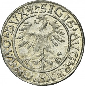 Sigismund II August, 1/2 Groschen Vilnius 1561 - L/LITV