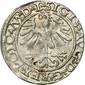 Zygmunt II August, Półgrosz Wilno 1565 - L/LITV - przebitka
