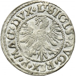Sigismund II August, 1/2 Groschen Vilnius 1546 - L/LITV - RARE