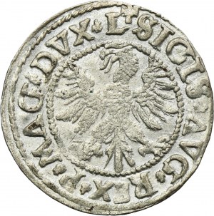 Sigismund II August, 1/2 Groschen Vilnius 1546 - L/LITV - RARE