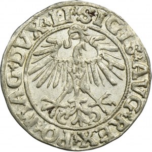 Sigismund II August, 1/2 Groschen Vilnius 1551 - LI/LITVA