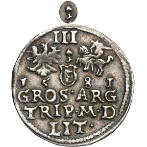 Stephen Bathory, 3 Groschen Vilnius 1581 - VERY RARE, Leliwa coat of arms on the obverse and leaf with two tails