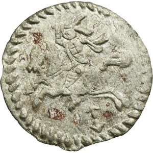 Zygmunt III Waza, Dwudenar Wilno 1613