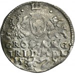 Sigismund III Vasa, 3 Groschen Vilnius 1598 - VERY RARE, Swan