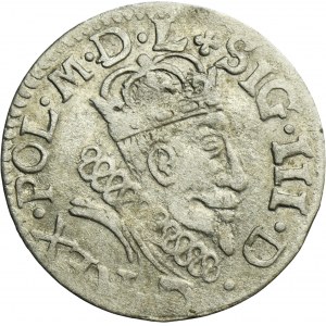 Sigismund III Vasa, Groschen Vilnius 1607