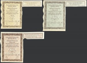 Warszawskie Towarzystwo Kopalń Węgla i Zakładów Hutniczych S.A., 100 zł, 500 zł i 1.000 zł 1929 - zestaw 3 szt.
