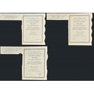 Warszawskie Towarzystwo Kopalń Węgla i Zakładów Hutniczych S.A., 100 zł, 500 zł i 1.000 zł 1929 - zestaw 3 szt.