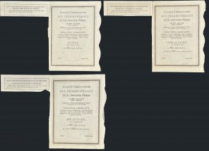 Warszawskie Towarzystwo Kopalń Węgla i Zakładów Hutniczych S.A., 100 zł, 500 zł i 1.000 zł 1929 - zestaw 3 szt.