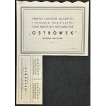 Fabryka Odlewów Żelaznych.... Ostrówek S.A. - zestaw 3 szt. akcji I, II oraz III emisji