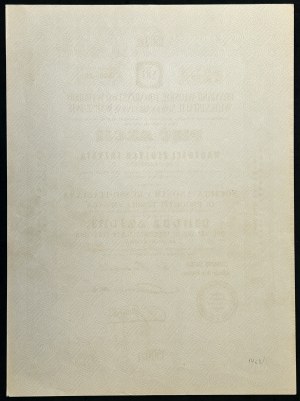 Russian-Italian Joint Stock Society of Fiber Products S.A., 5 x PLN 300, Issue II