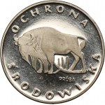 Zobacz podobne