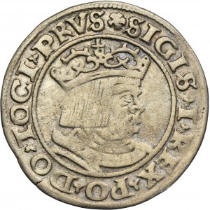 Sigismund I the Old, Groschen Thorn 1530 - PRVS/PRVSS