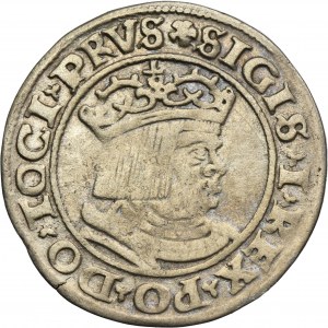 Sigismund I the Old, Groschen Thorn 1530 - PRVS/PRVSS