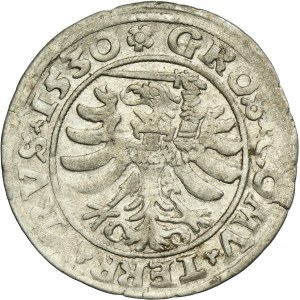 Sigismund I the Old, Groschen Thorn 1530 - PRVS/PRVS