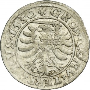 Sigismund I the Old, Groschen Thorn 1530 - PRVS/PRVS