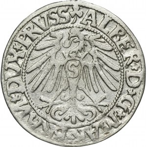 Duchy of Prussia, Albrecht Hohenzollern, Groschen Königsberg 1544 - PRVSS