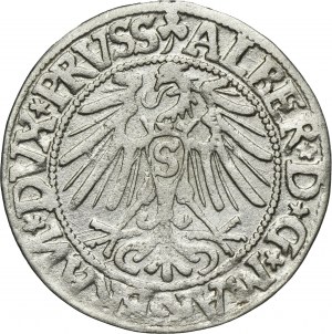 Duchy of Prussia, Albrecht Hohenzollern, Groschen Königsberg 1544 - PRVSS