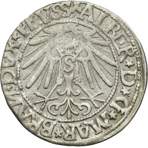 Duchy of Prussia, Albrecht Hohenzollern, Groschen Königsberg 1544 - PRVSS