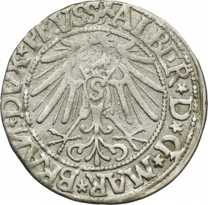 Duchy of Prussia, Albrecht Hohenzollern, Groschen Königsberg 1544 - PRVSS