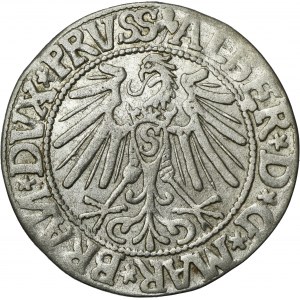 Duchy of Prussia, Albrecht Hohenzollern, Groschen Königsberg 1544 - PRVSS